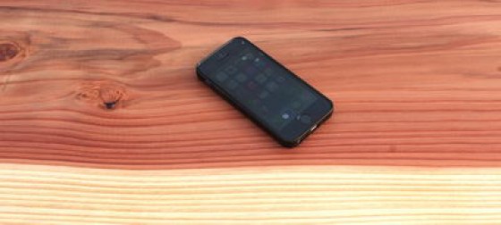 Redwood_Detail_1_400